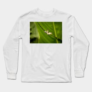 oli and butterfly Long Sleeve T-Shirt